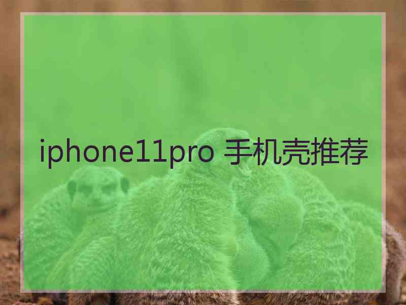 iphone11pro 手机壳推荐