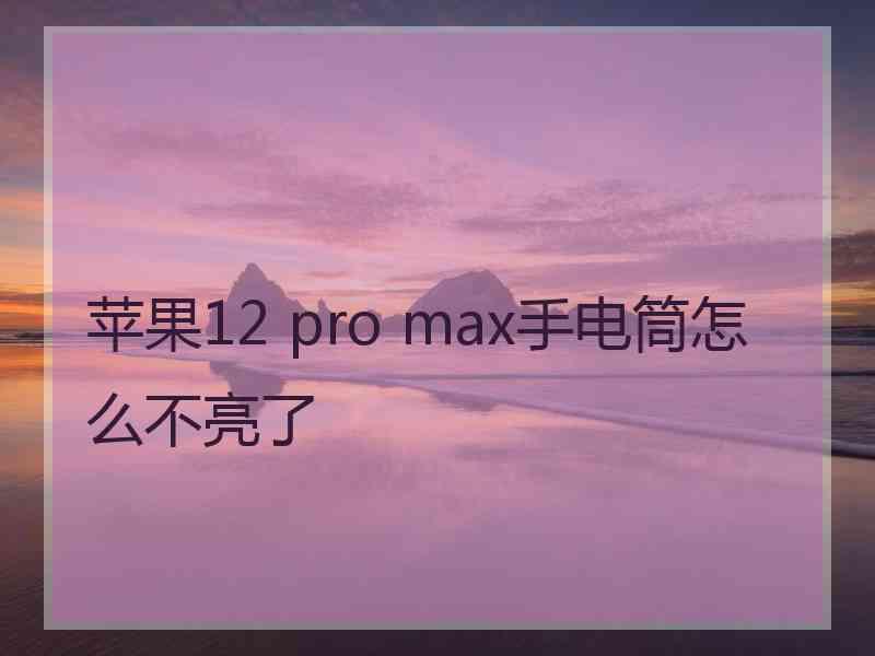 苹果12 pro max手电筒怎么不亮了