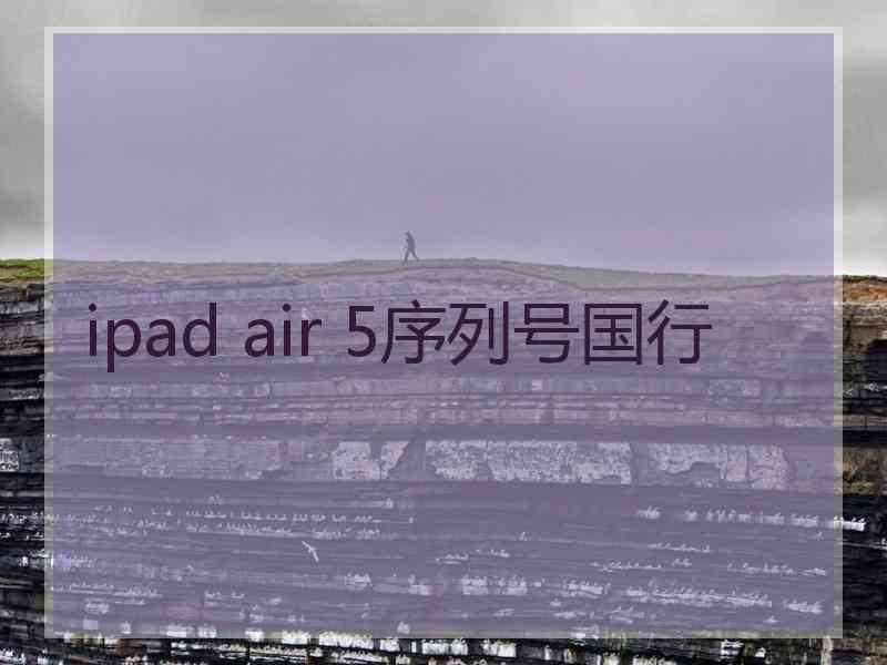 ipad air 5序列号国行