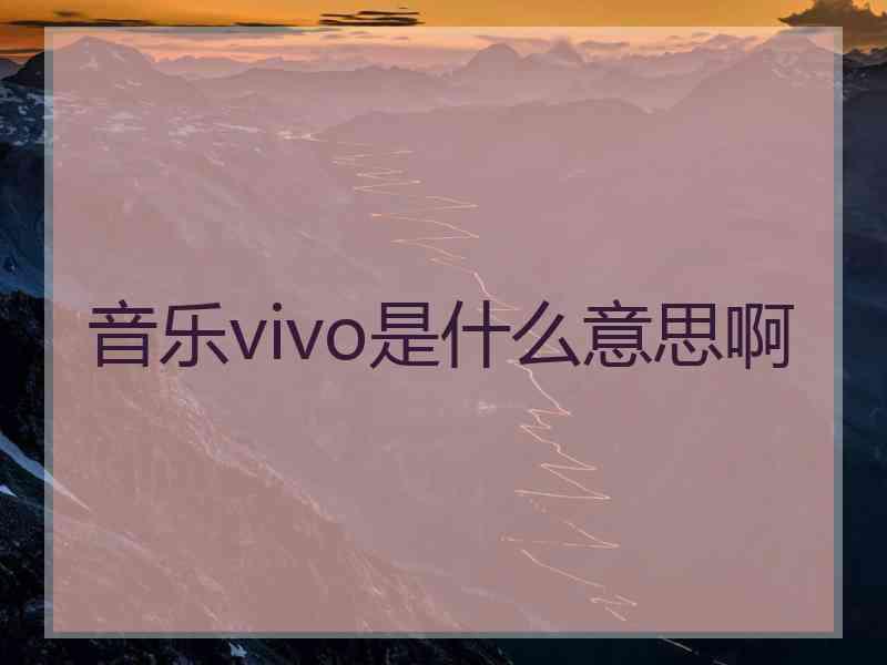 音乐vivo是什么意思啊