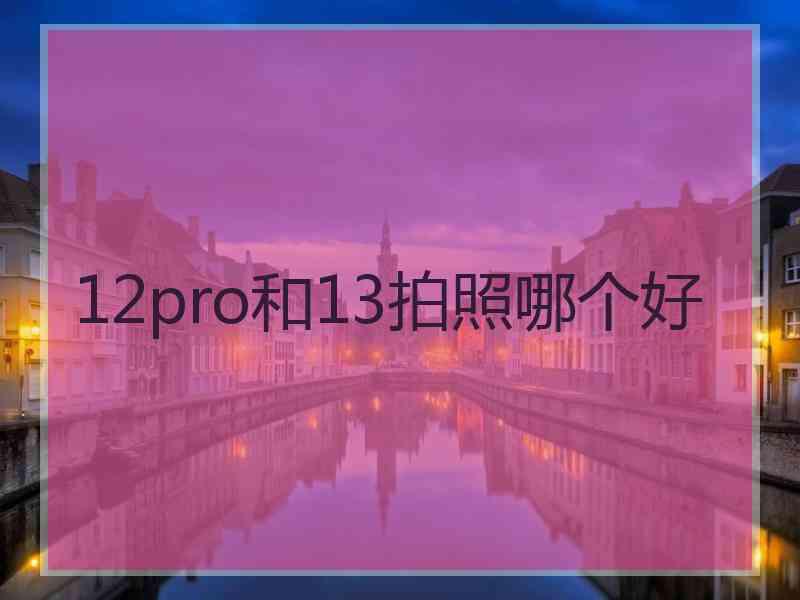 12pro和13拍照哪个好