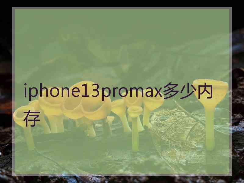 iphone13promax多少内存