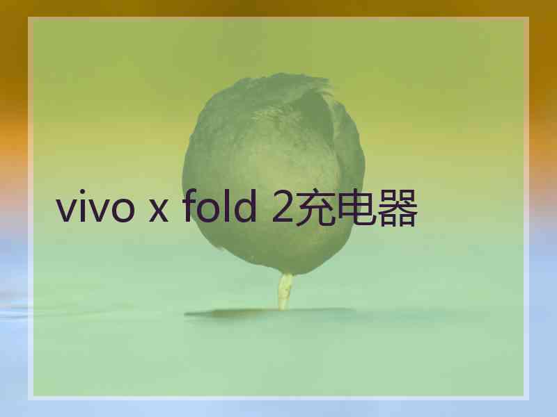 vivo x fold 2充电器