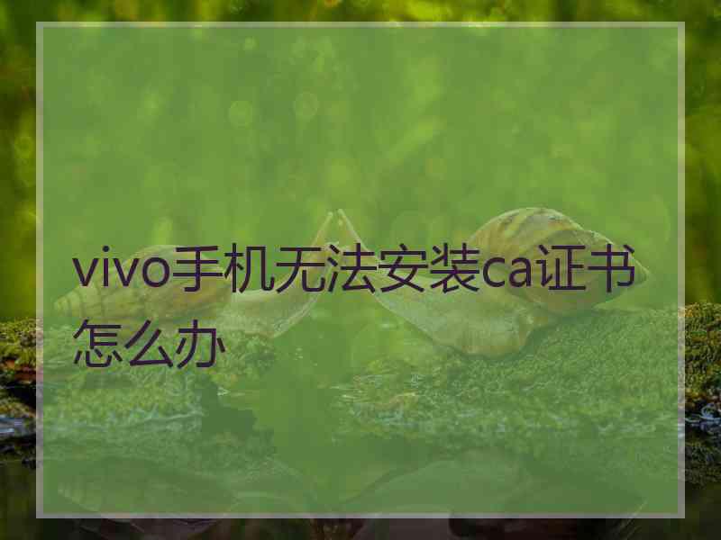 vivo手机无法安装ca证书怎么办