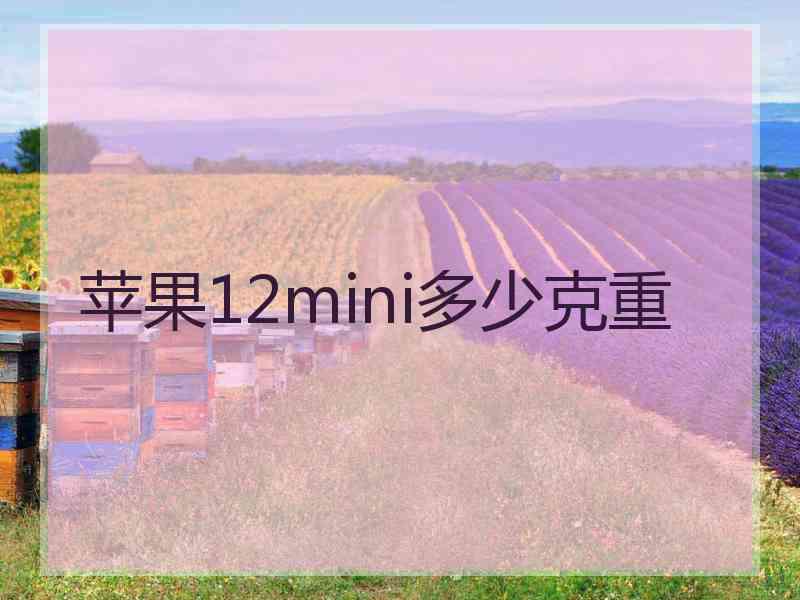 苹果12mini多少克重