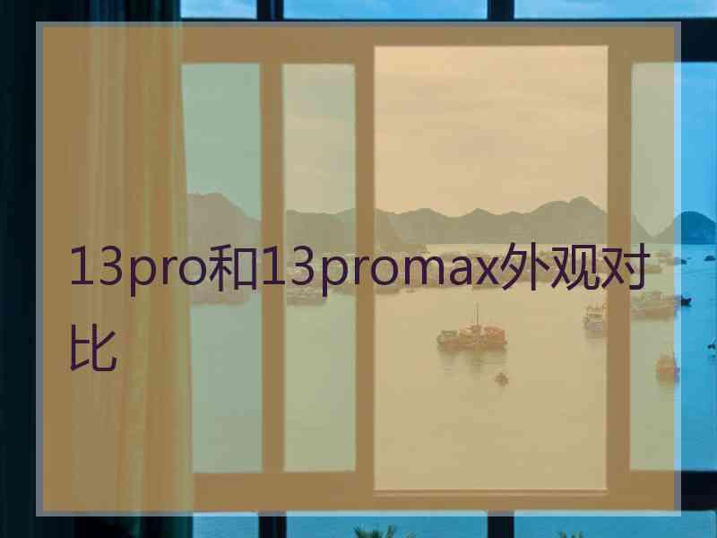 13pro和13promax外观对比