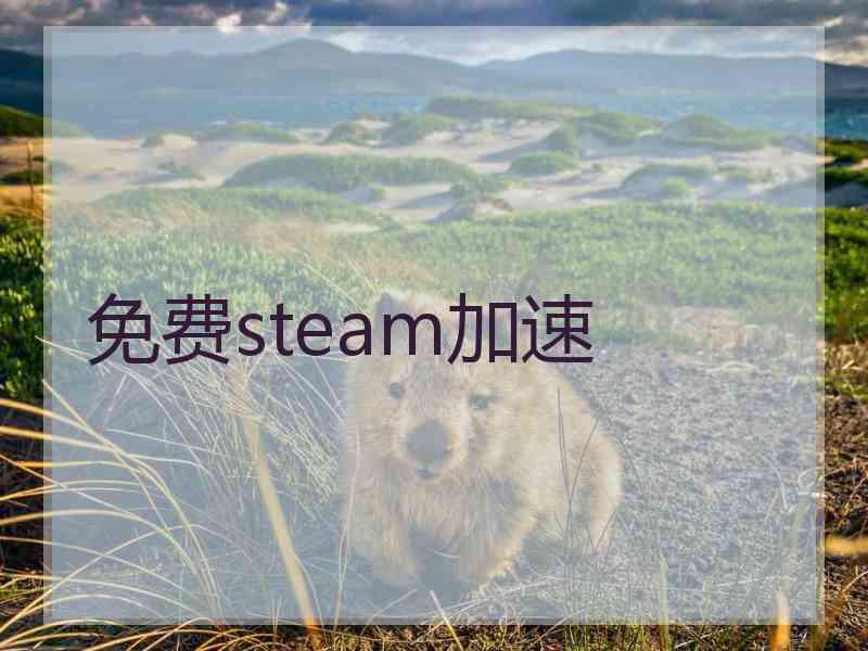 免费steam加速