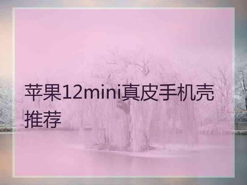 苹果12mini真皮手机壳推荐