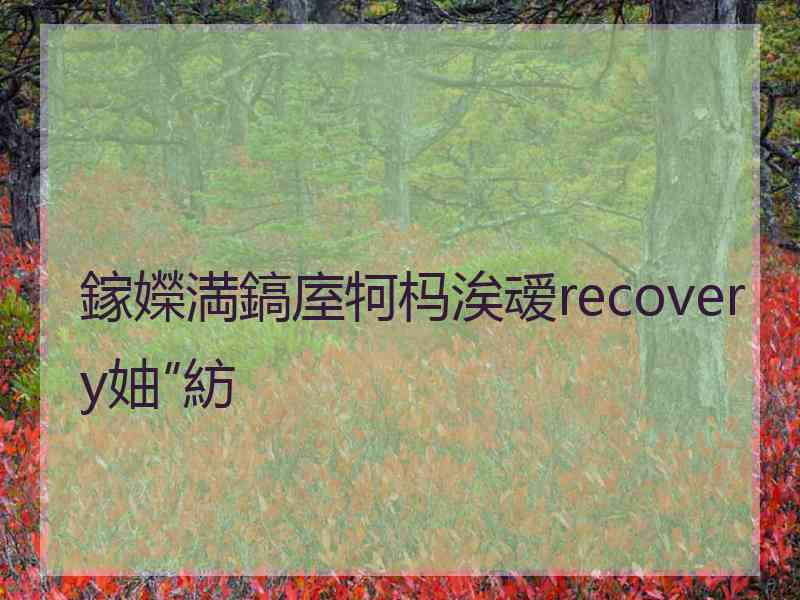 鎵嬫満鎬庢牱杩涘叆recovery妯″紡