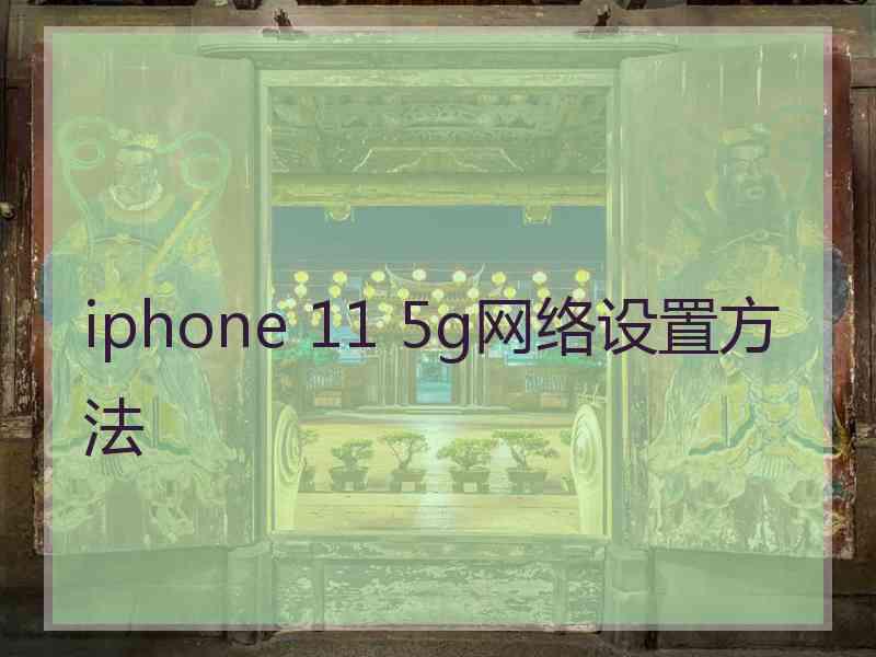 iphone 11 5g网络设置方法