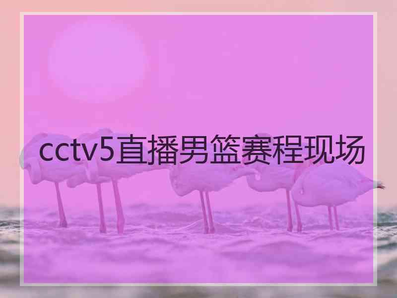 cctv5直播男篮赛程现场