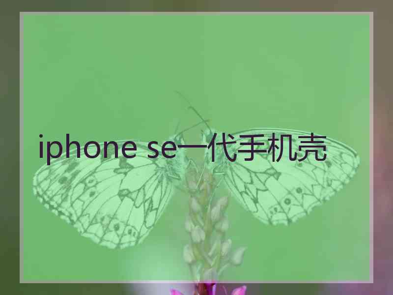 iphone se一代手机壳