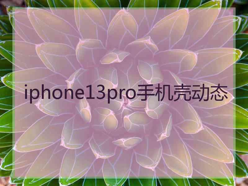 iphone13pro手机壳动态