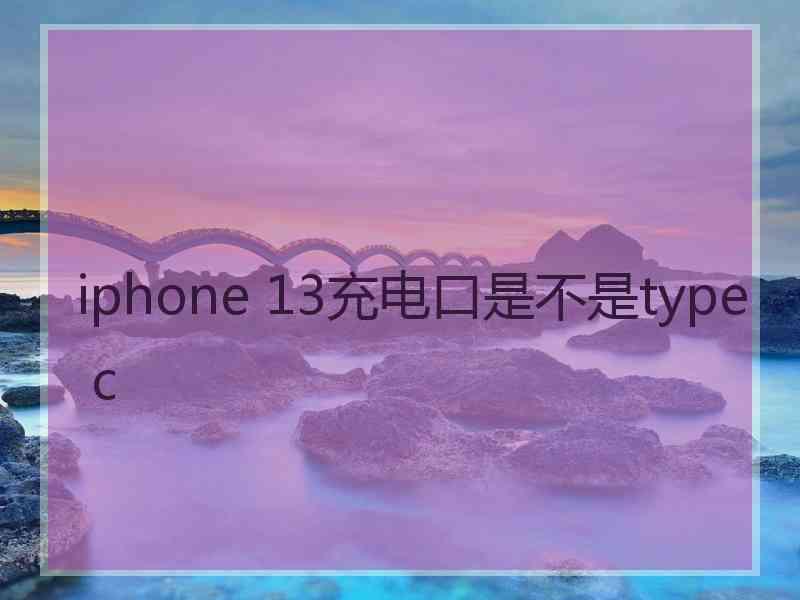 iphone 13充电口是不是type c