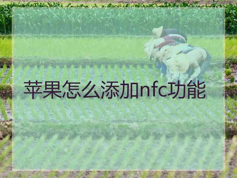 苹果怎么添加nfc功能