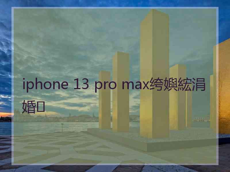 iphone 13 pro max绔嬩綋涓婚