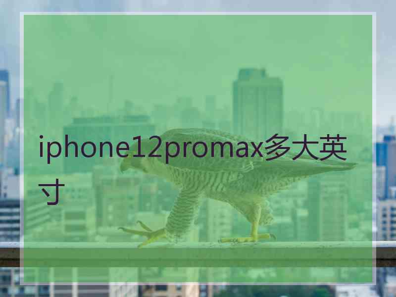 iphone12promax多大英寸