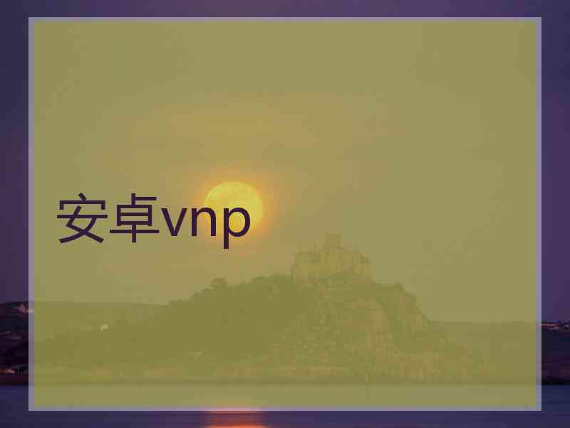 安卓vnp