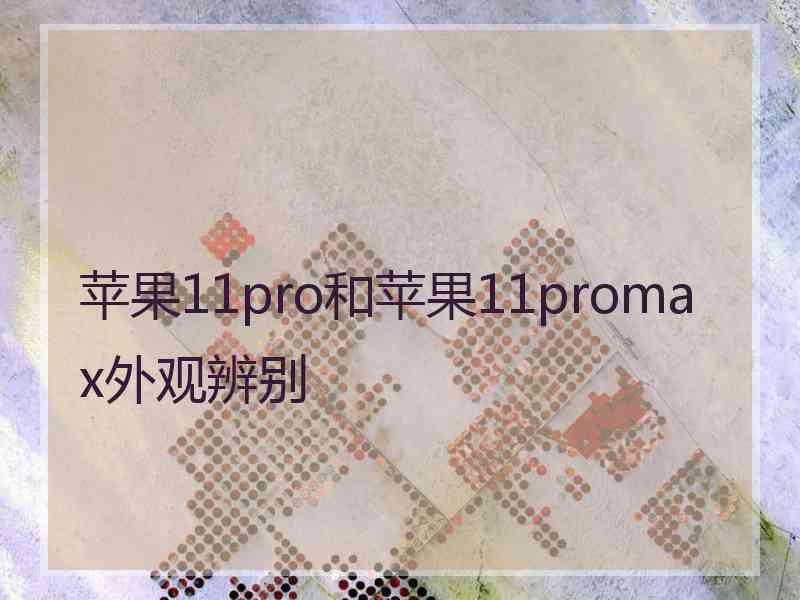 苹果11pro和苹果11promax外观辨别