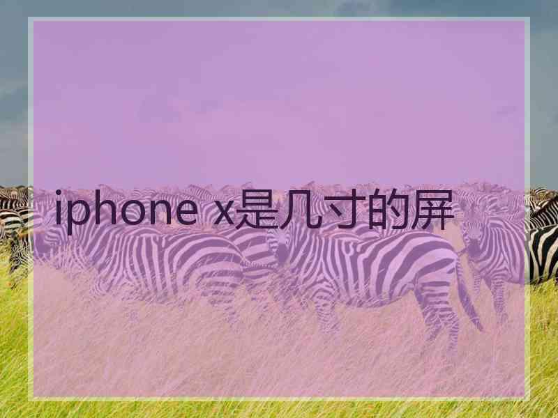 iphone x是几寸的屏