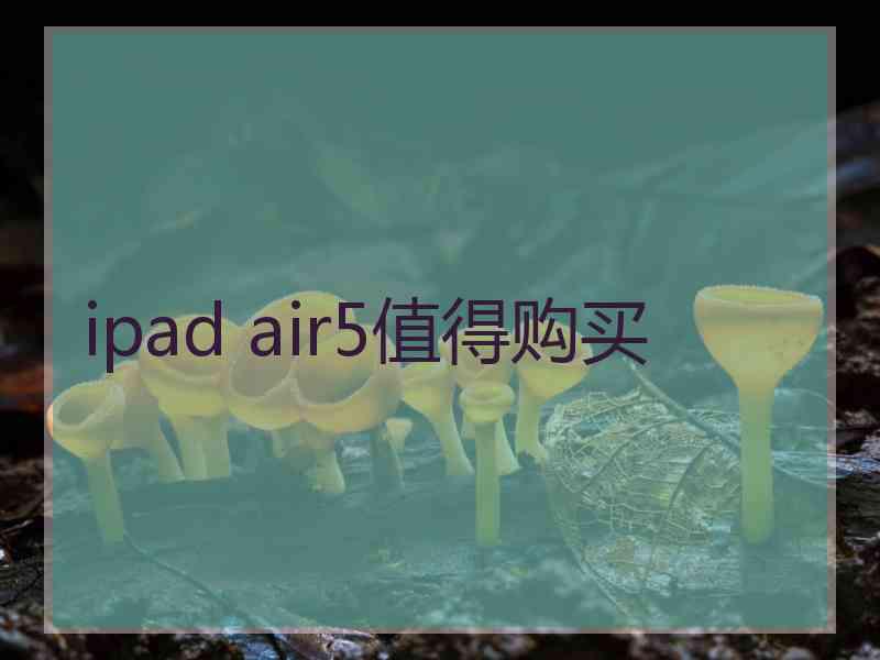 ipad air5值得购买