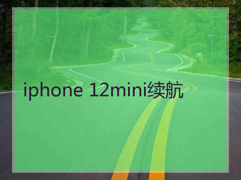 iphone 12mini续航