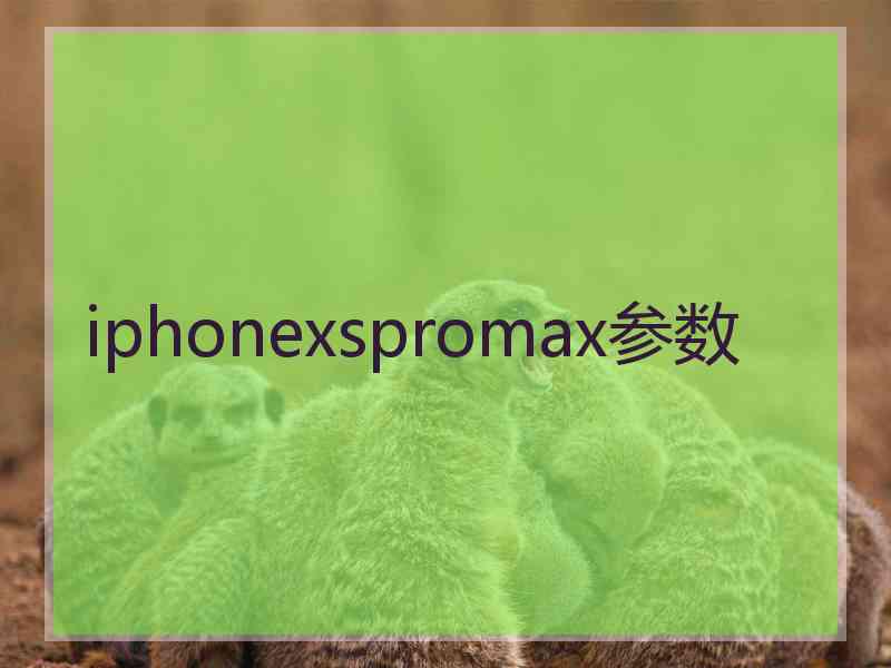 iphonexspromax参数