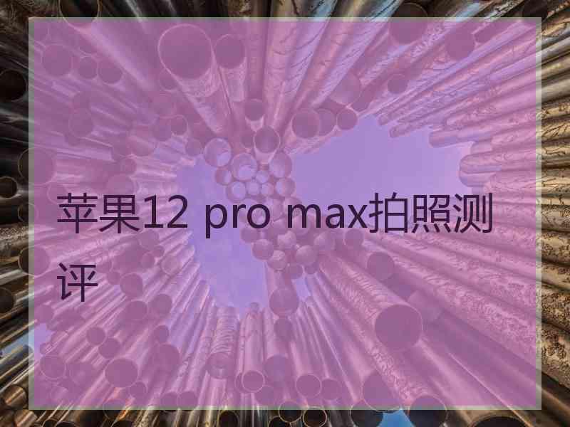 苹果12 pro max拍照测评