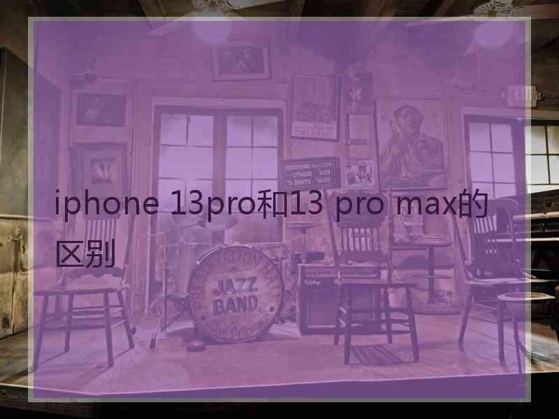 iphone 13pro和13 pro max的区别