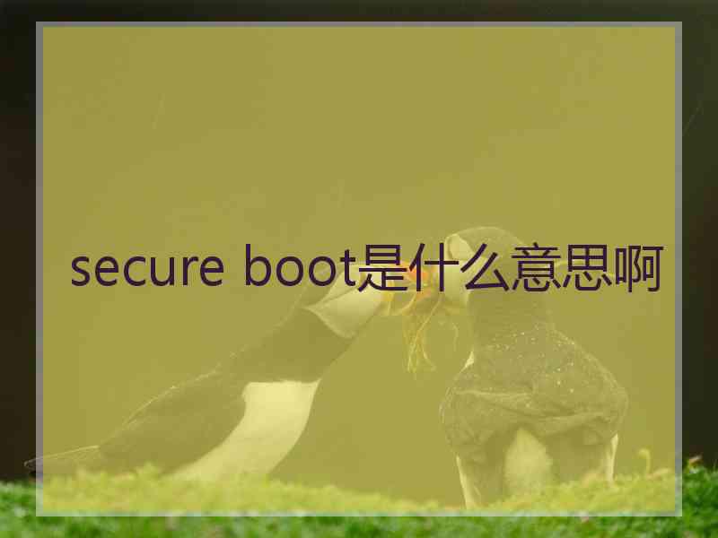 secure boot是什么意思啊