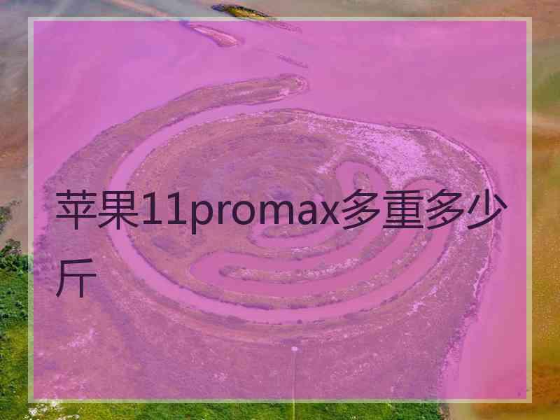 苹果11promax多重多少斤