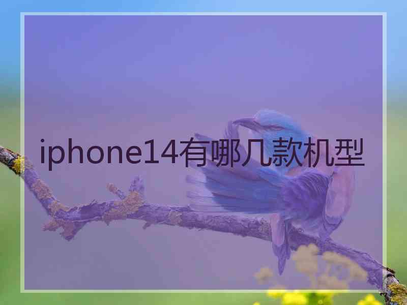 iphone14有哪几款机型