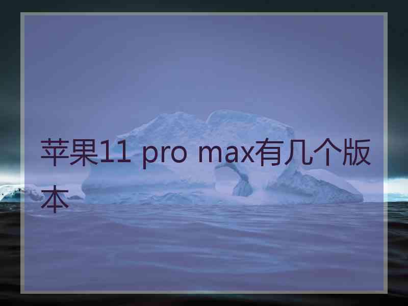 苹果11 pro max有几个版本