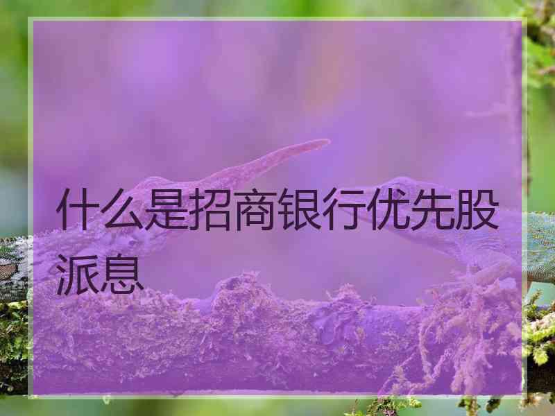 什么是招商银行优先股派息