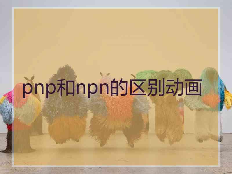 pnp和npn的区别动画