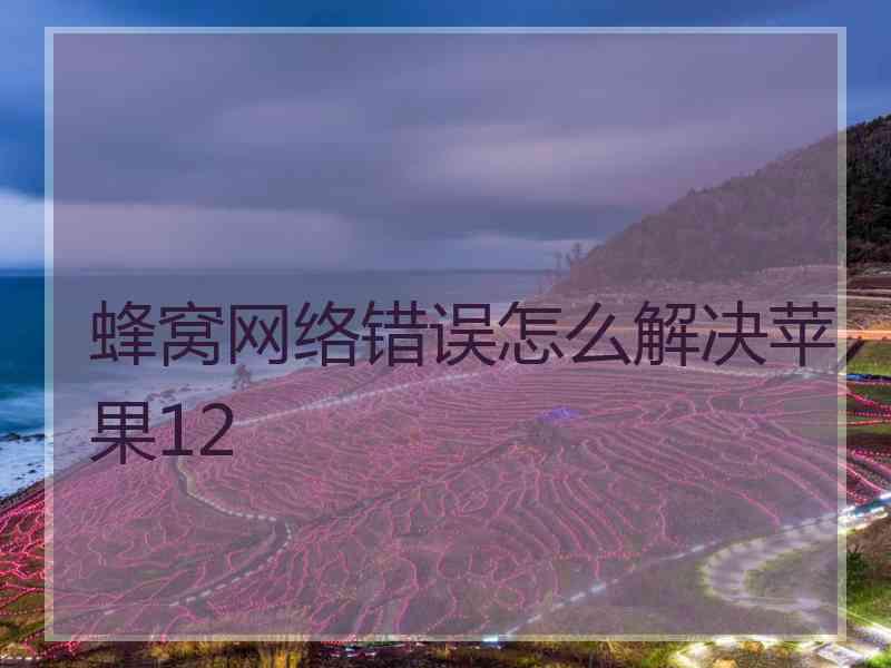 蜂窝网络错误怎么解决苹果12