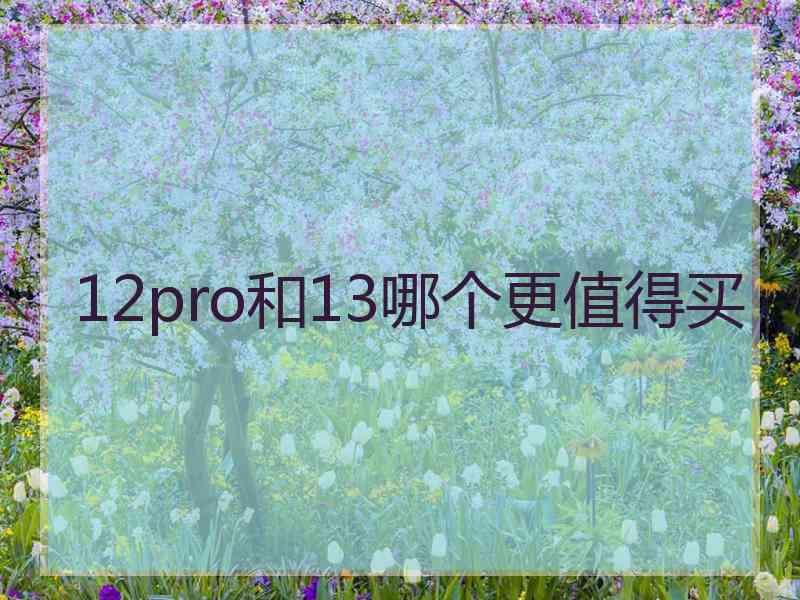 12pro和13哪个更值得买