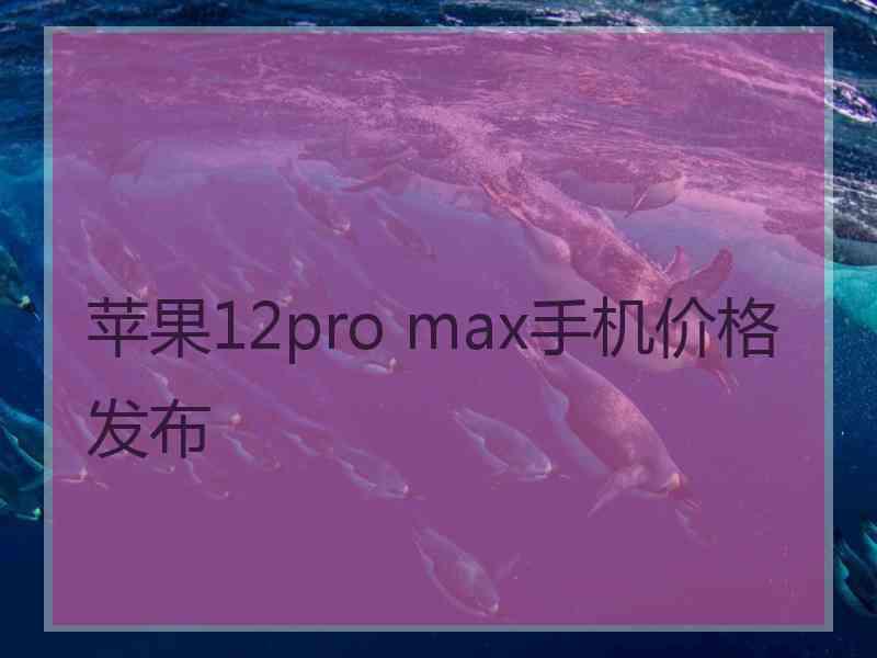 苹果12pro max手机价格发布