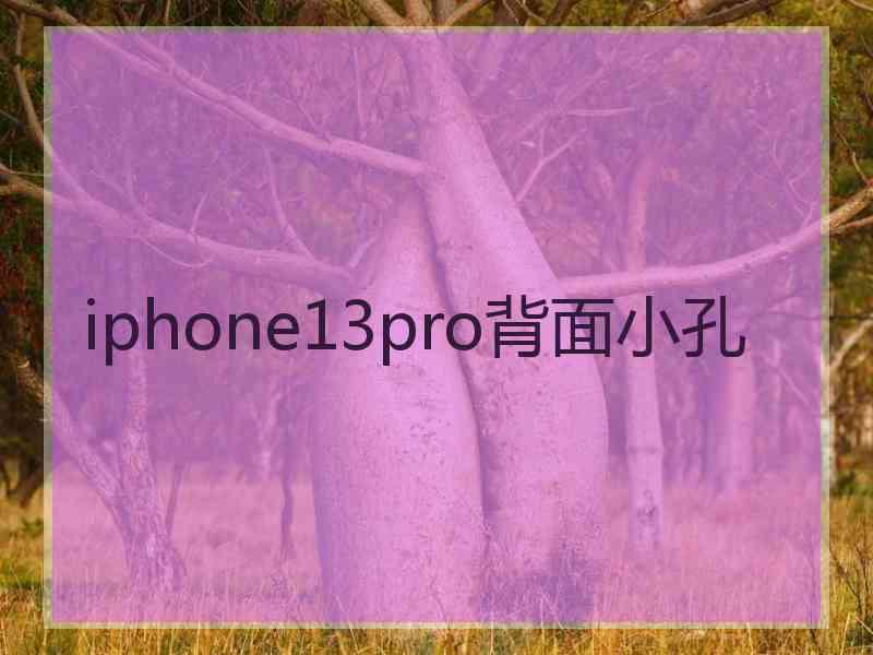 iphone13pro背面小孔