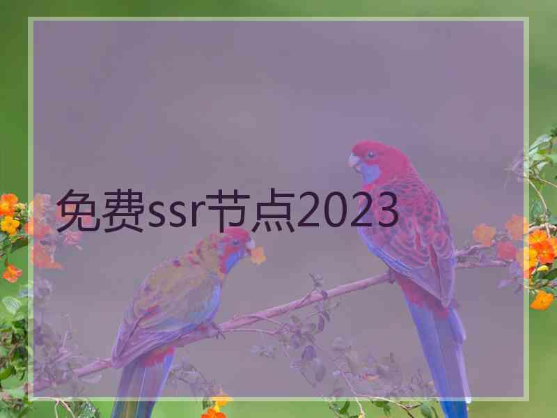 免费ssr节点2023