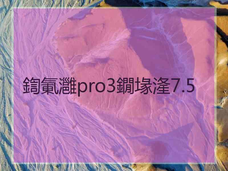 鍧氭灉pro3鐗堟湰7.5