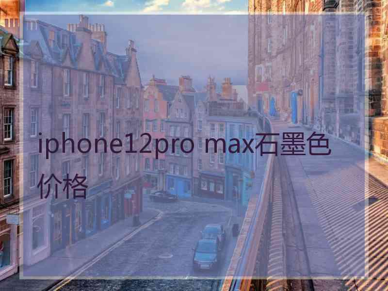 iphone12pro max石墨色价格