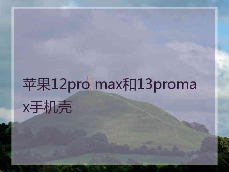 苹果12pro max和13promax手机壳