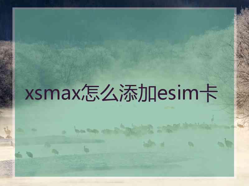 xsmax怎么添加esim卡