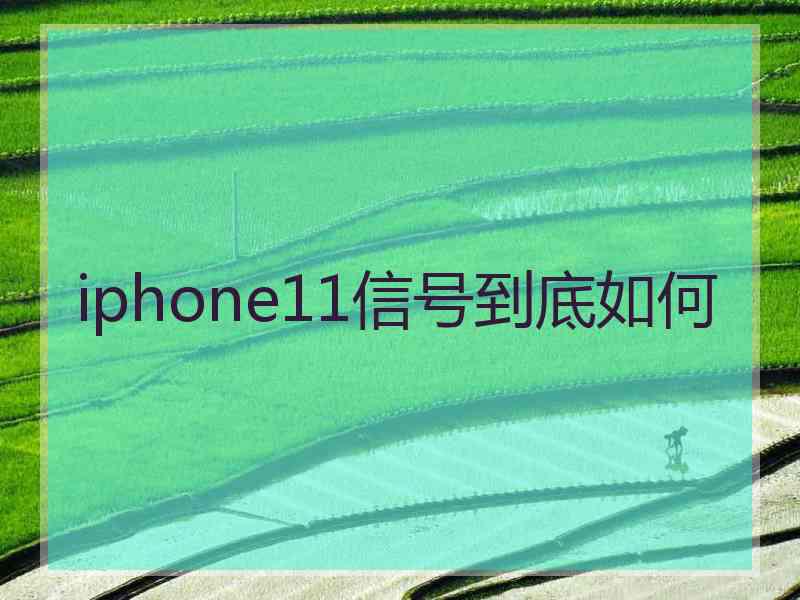 iphone11信号到底如何