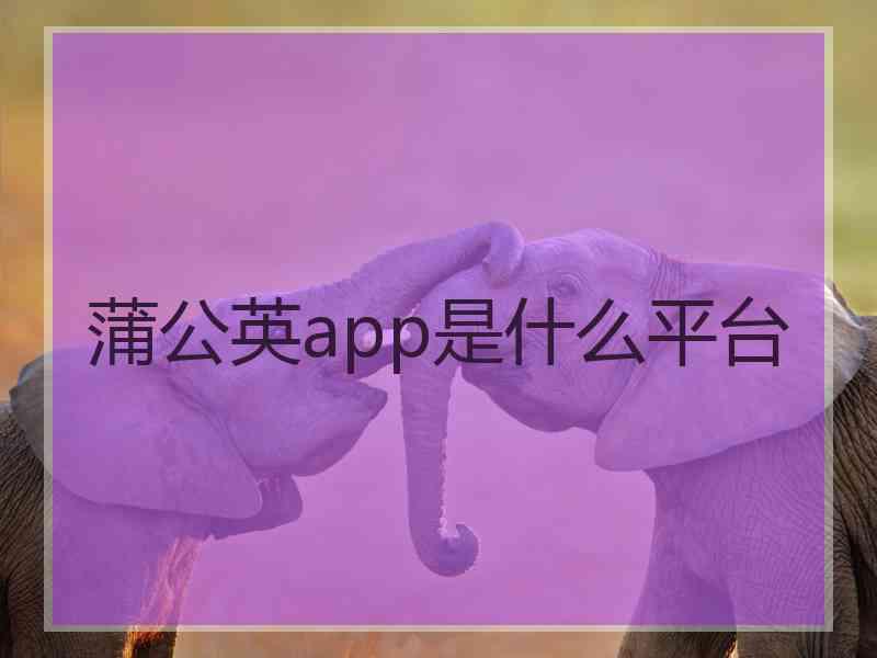 蒲公英app是什么平台