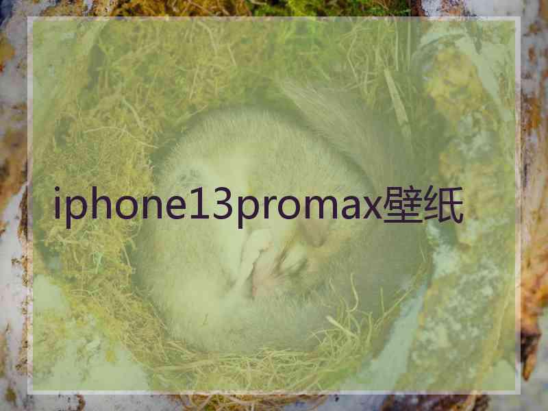 iphone13promax壁纸