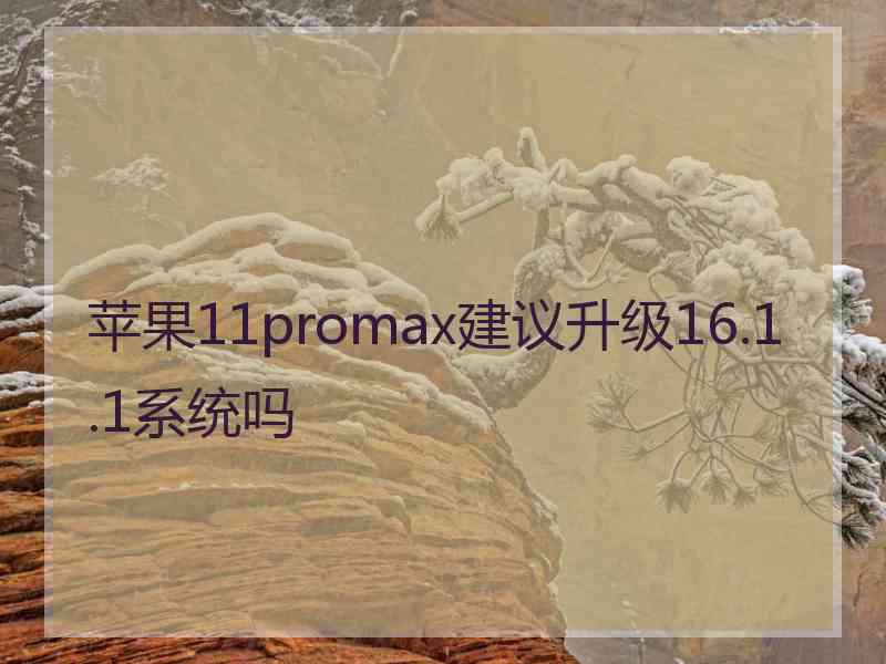 苹果11promax建议升级16.1.1系统吗