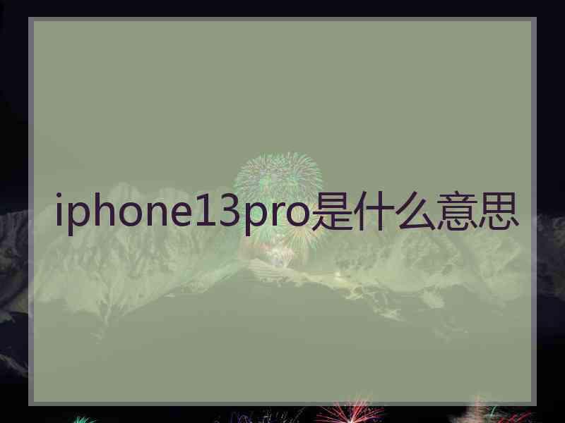 iphone13pro是什么意思