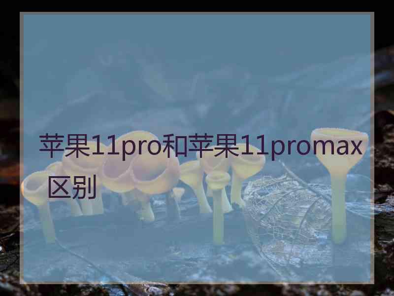 苹果11pro和苹果11promax 区别